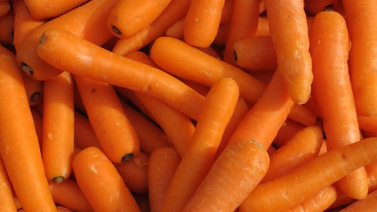 Фото Depositphotos.com