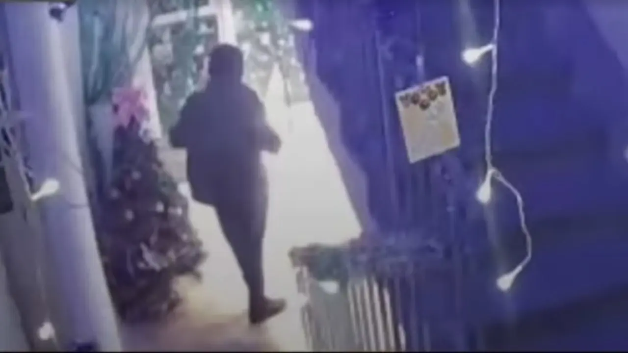 Фото: кадр из видео