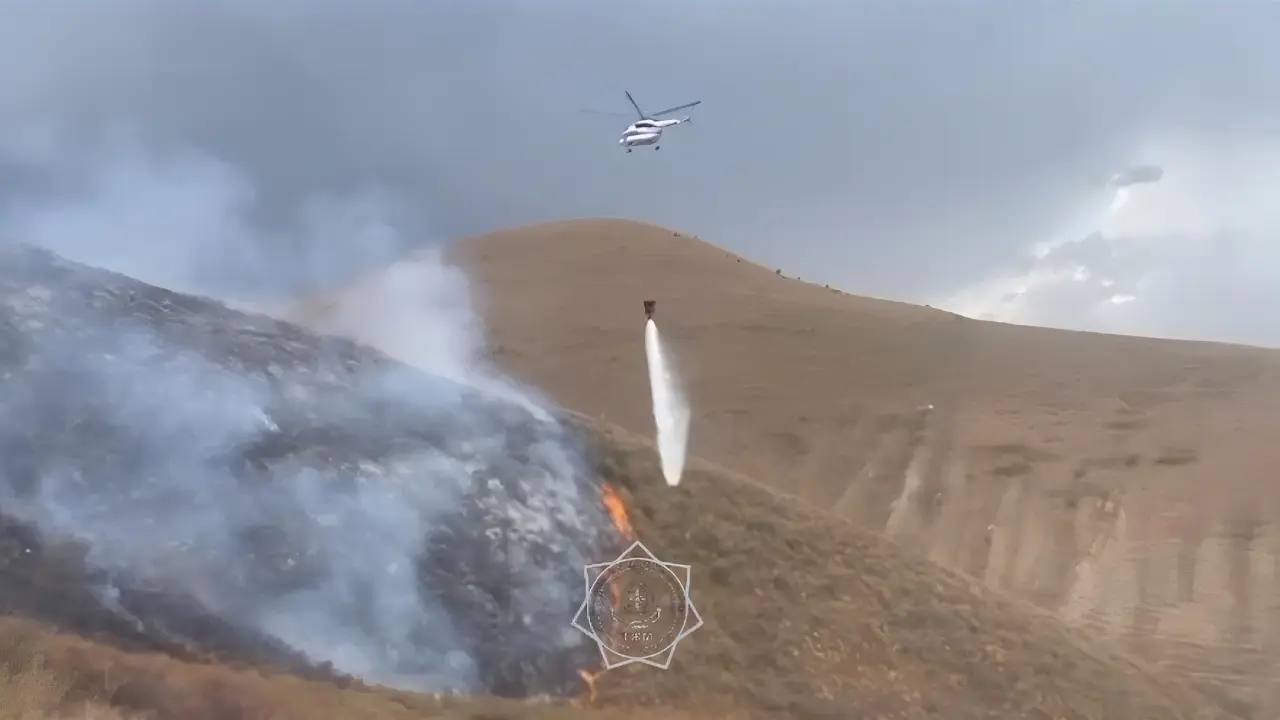 Фото: кадр из видео