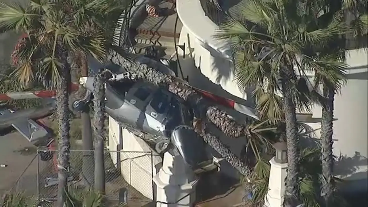 Фото: кадр из видео