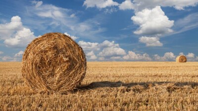 Мамин: Казахстану собранного в этом году урожая будет достаточно