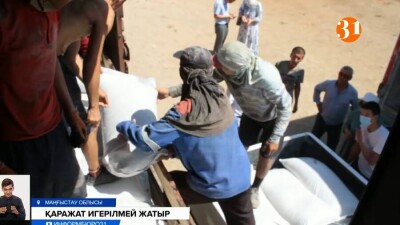 В Мангистау освоили лишь четверть средств, выделенных из бюджета области на поддержку фермеров