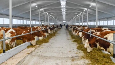 Льготные кредиты и другие меры: как государство помогает сельскому хозяйству