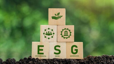 Не тренд, а требование. Как банкам настроиться на ESG-волну