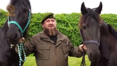 Кадыров подарил президенту Узбекистана двух скакунов на день рождения