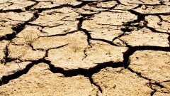 В каких регионах ожидать сильную засуху в июле, рассказали в Казгидромете