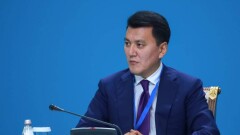 Карин: Норма однократного президентства, прежде всего, нацелена на долгосрочную стабилизацию политической системы