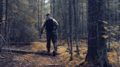 Внештатные сотрудники организаций лесхозов получат свои надбавки с экономии с госзакупок