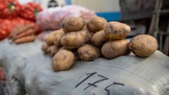 Дефицита овощей и хлеба в Казахстане не будет. Минсельхоз ожидает высокой урожайности
