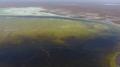 Мажилисмены призвали возобновить работы по рекультивации радиоактивных отходов в озере Кошкар-Ата