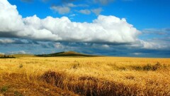 Акиматы больше не будут контролировать использование и охрану земель