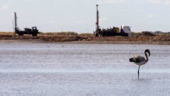 Столичный суд запретил все работы по периметру Малого Талдыколя