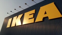 IKEA покупала у российского депутата незаконно вырубленную древесину для изготовления детской мебели