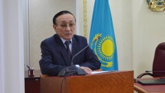 Глава общественного совета столицы: Надо защищать животных, но не так, чтобы горожан за людей не считать