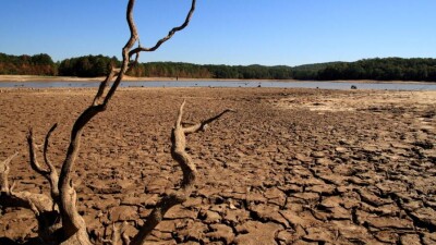 На 63,9% пастбищ в Мангистауской области нет растительности, качество 36% очень плохое