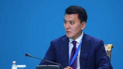 Карин: Норма однократного президентства, прежде всего, нацелена на долгосрочную стабилизацию политической системы