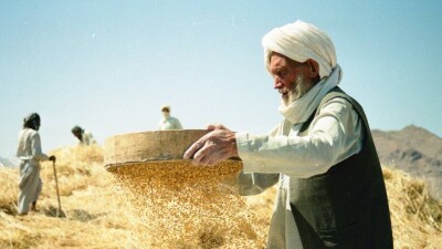За полгода в Казахстан прибыли 113 человек из Афганистана
