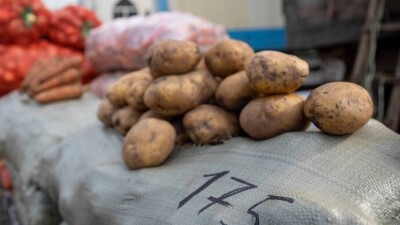 Дефицита овощей и хлеба в Казахстане не будет. Минсельхоз ожидает высокой урожайности