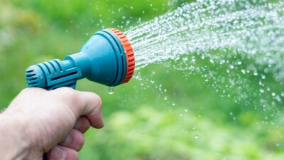 Узбекистан и Таджикистан поделились поливной водой с Туркестанской областью