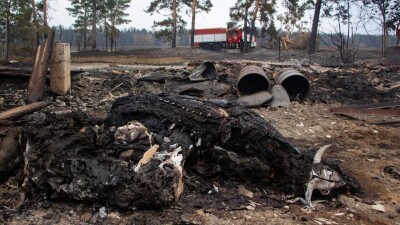 Лес продолжает гореть на площади в 43 000 га в Абайской области