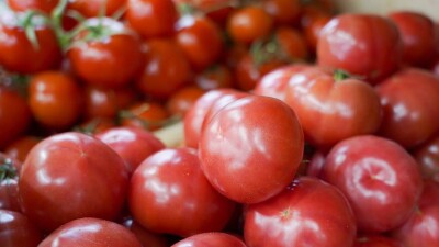 Продуктовая ярмарка пройдёт в Алматы. Улицу Сатпаева перекроют на три дня