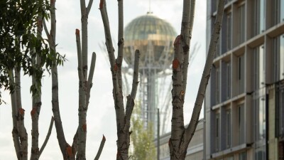 Астанчане пожаловались на вырубку деревьев при строительстве ЖК возле здания МИД