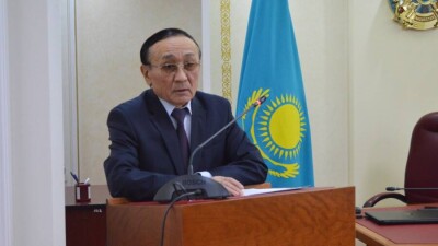 Глава общественного совета столицы: Надо защищать животных, но не так, чтобы горожан за людей не считать