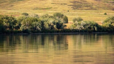 Предоставит ли Кыргызстан воду казахстанским фермерам? Минэкологии даёт оптимистичный прогноз