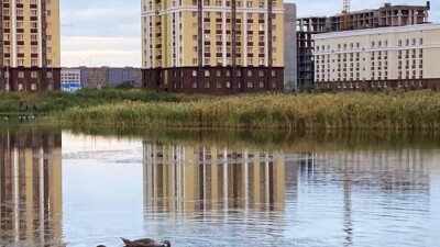 Глава управления архитектуры Нур-Султана сравнил активистов, защищающих Малый Талдыколь, с антиваксерами