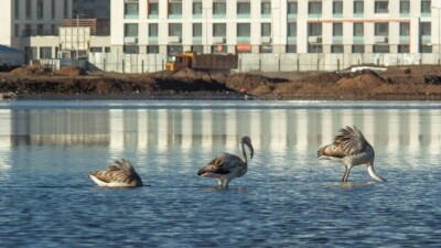 Вокруг всего Малого Талдыколя предложили установить водоохранные зоны