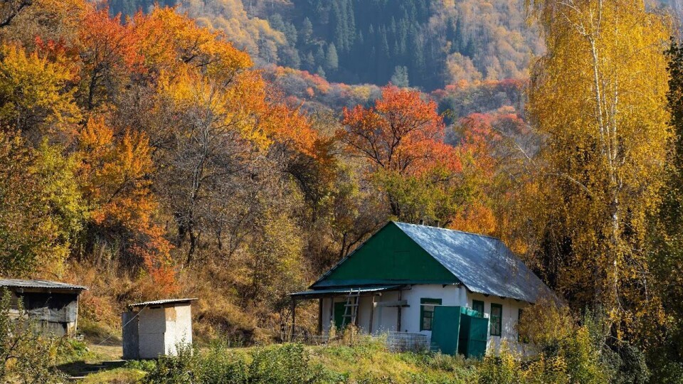 49 сёл упразднят в ЗКО: в них почти никто не живёт