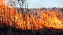 Привлечён вертолёт: в Атырауской области горят 40 га камыша