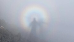 "Горный призрак" замечен близ Алматы