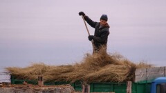 Кто из фермеров может рассчитывать на помощь государства