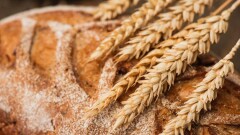 Мировой продовольственный кризис. Грозит ли Казахстану дефицит хлеба