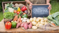 Что значит отметка "органик" на продуктах и производят ли такую еду в Казахстане