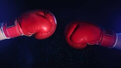 Боксёры во власти. Какие должности занимают известные спортсмены в Казахстане
