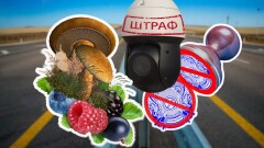Штрафы для автомобилистов, грибы и синие печати. Главное за неделю