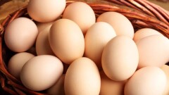 Стоит ли ждать снижения цен на яйца