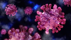 В Казахстане за сутки зарегистрировали 266 случаев заражения коронавирусом