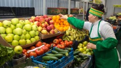 Привезти, а не вырастить. Почему Казахстан не может обеспечить себя продуктами