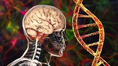 Что делать, если у близкого вам человека начинается деменция. Как с ним себя вести? И чего ждать дальше?
