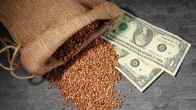 Украина, доллар, гречка. Главные темы недели