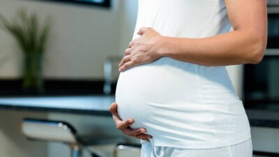 Дарёный конь. Минтруда обещало разобраться с проблемой декретных выплат, но не сделало этого