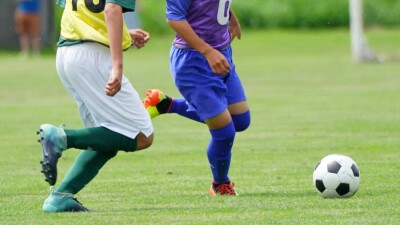 Появятся ли в регионах аналоги платформы ArtSport?