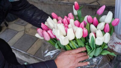Цветы, украшения, техника. Подарки к 8 Марта взлетели в цене вместе с курсом доллара