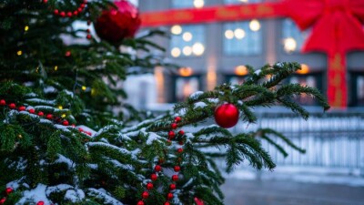 Сколько потратили акиматы на украшение городов к Новому году