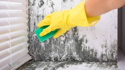 "Синдром больного здания": Стройматериалы могут стать причиной мигрени, апатии и усталости