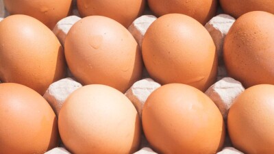 Не простое, а золотое. Почему в России дорожает куриное яйцо?