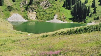 Борьба за Жасылколь. Почему сельчане обеспокоены купанием животных в горном озере